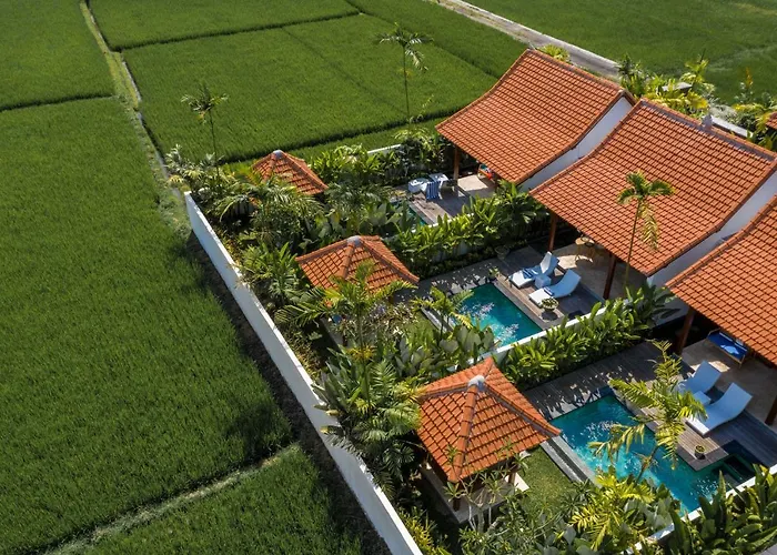 Sawah *