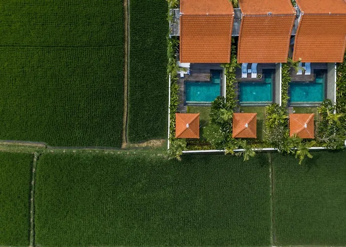 Sawah Villa